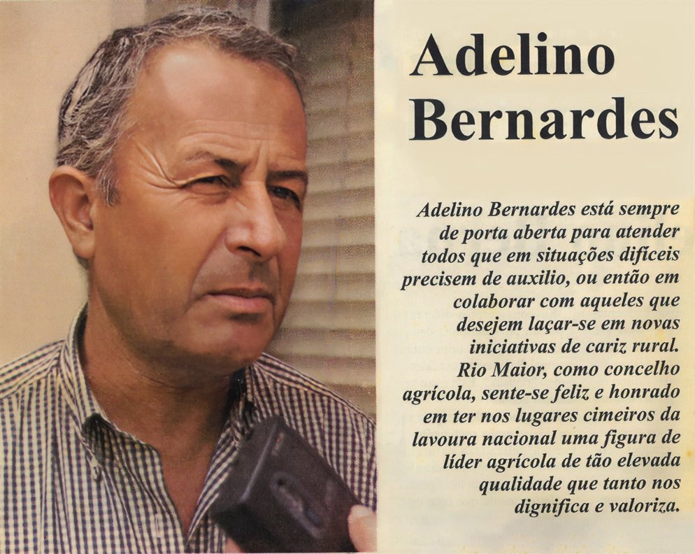 Adelino da Costa Bernardes