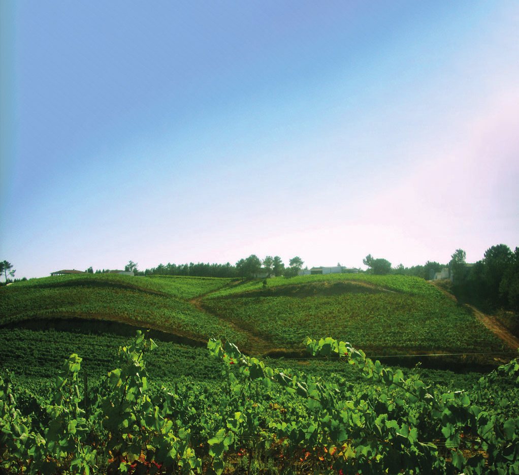 Paisagem agrícola de Rio Maior